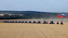 Уборка зерна в Ростовской области приближается к экватору